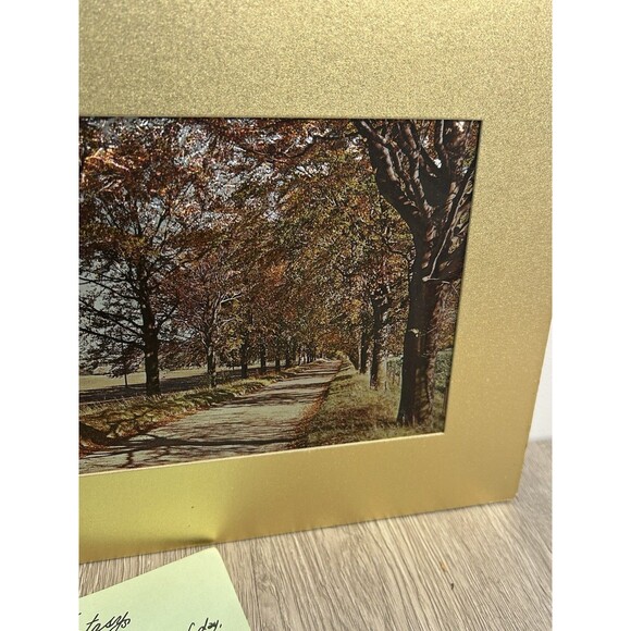 Vintage Silvery Fantasy Foil Engraving Print Fall Leaves Autumn Trees USA - Picture 3 of 13